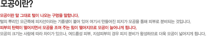 모공이란?