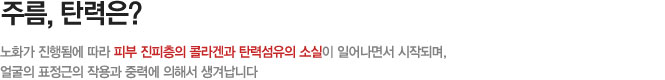주름,탄력은?