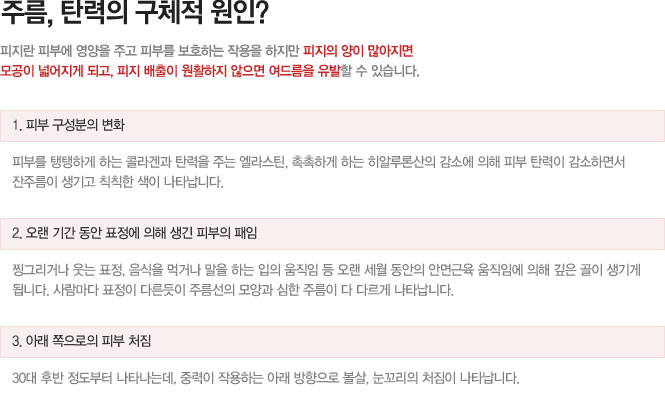 주름,탄력의 구체적 원인?