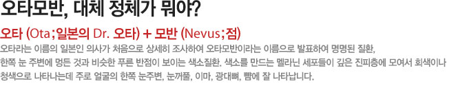 오타모반, 대체 정체가 뭐야?