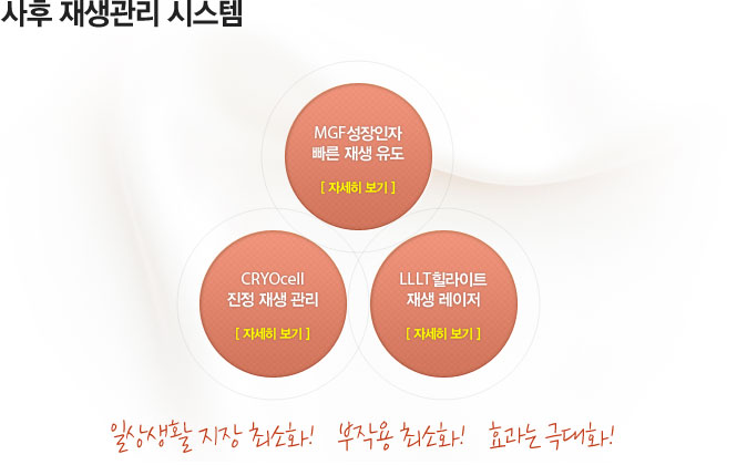 사후재생관리시스템